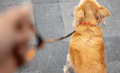 Wir sind Faulpelze!⁣ 🦥