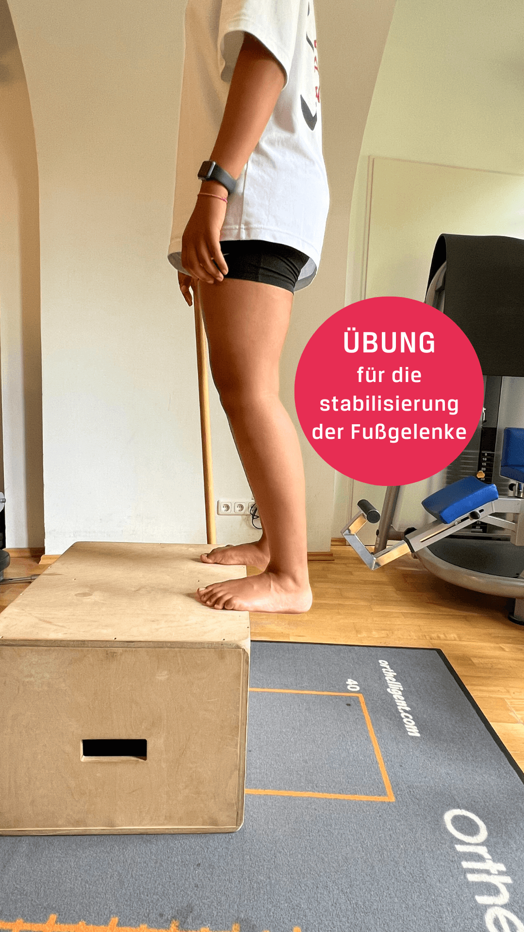 Yicoovey Pflanzenstütz-Set: 4 Steckspaliere + 4 Stützen Für Stabile Pflanzen Drinnen & Draußen