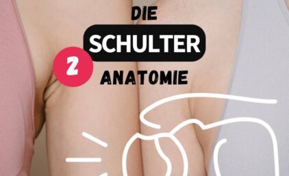 Die Schulteranatomie